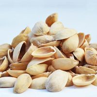 No tires las cáscaras de pistacho: creá esta maceta de lo más delicada y ni sospecharán de qué está hecha