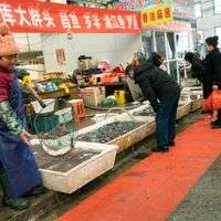 ¡Urgente! Habrían identificado al paciente 0 que inició el brote del coronavirus en China