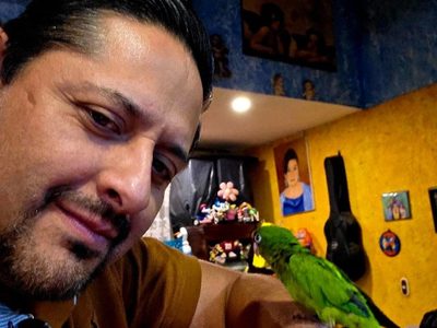 Exhiben a candidato a juez por tener un loro, especie en peligro de extinción