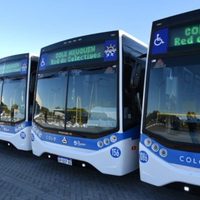 Más colectivos en Neuquén: COLE suma 36 unidades y debuta la flota eléctrica en marzo
