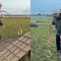 Qué es Hobby Doggy y cómo surgió antes de la controversia de los therians