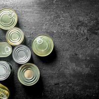 No tires las latas de atún y creá este hermoso objeto para embellecer tu casa o regalar