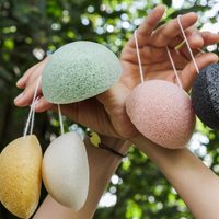 Mirá esto antes de tirar las esponjas konjac: así podés tener plantas fuertes y más bonitas en pocos días