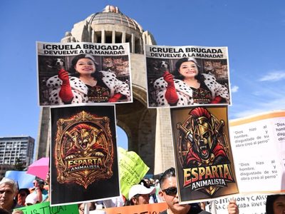 Gobierno de CDMX dice que valorará si continúa el diálogo con animalistas del Refugio Franciscano
