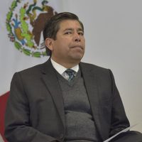 El INM "no ha sido consultado" sobre iniciativa de Ley General de la Guardia Nacional: Guillén