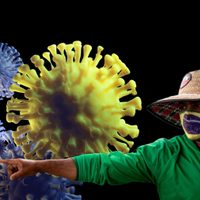 La variante brasileña podría reinfectar a los padecieron coronavirus, según un estudio