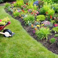 No gastes fortuna: mirá estas ideas "low cost" para decorar tu jardín o patio y dejarlo fantástico