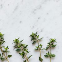 La planta aromática que es un tesoro natural: aprovecha sus beneficios digestivos, antioxidantes y relajantes en una simple infusión