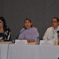 En grave riesgo el próximo proceso electoral en Colima: IEE