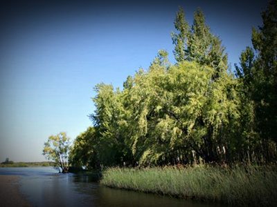 "En el río Limay": Un joven murió ahogado en Plottier