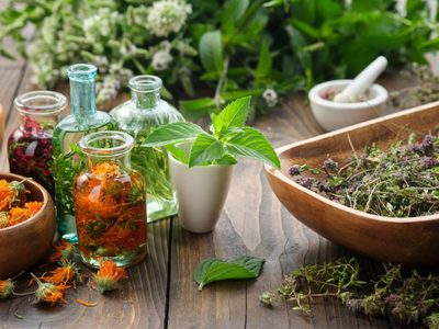 La planta que muchos confunden con maleza en el jardín, pero esconde propiedades medicinales