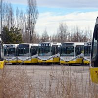 La ciudad amaneció sin el servicio de transporte de colectivos