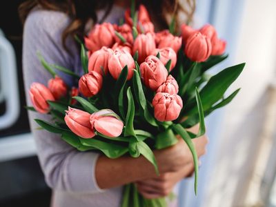 Conservá eternamente el color y vida de tus flores frescas con esta sencilla técnica para usarlas en todos tus proyectos