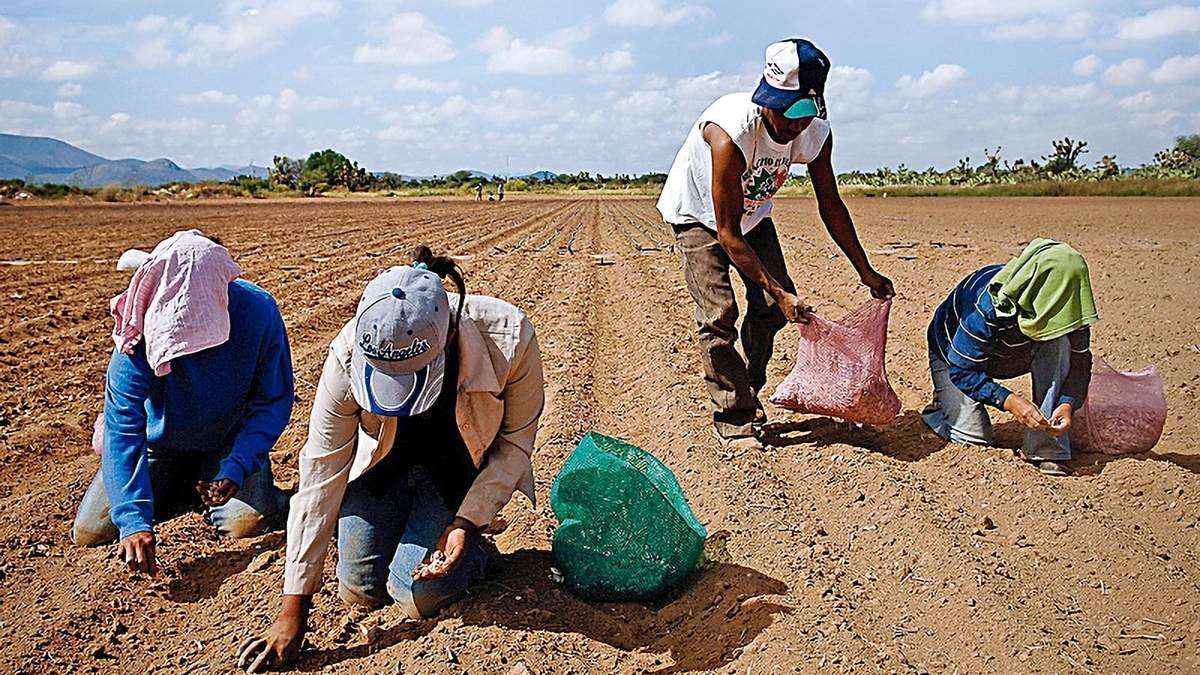 Pequeños productores. Incertidumbre