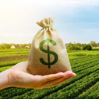 El campo y las proyecciones de dólares que se esperan hasta octubre