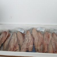 Aseguran en Baja California cargamento ilegal de carne de totoaba (Video)