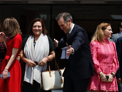 Guadalupe Taddei plantea "abaratar" procesos electorales "sin perder la calidad"