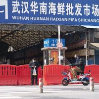 Investigadores confirman que el covid-19 se originó en el mercado de animales vivos de Wuhan