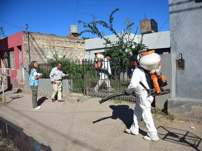 SSA destaca baja del 80% en casos de dengue
