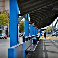 ¡Gratis!: el importante servicio que brinda Neuquén en plena cuarentena