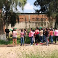 '¡Arriba El Marro!”, gritan al personal que cateó fincas del líder del Cártel de Santa Rosa (Video)