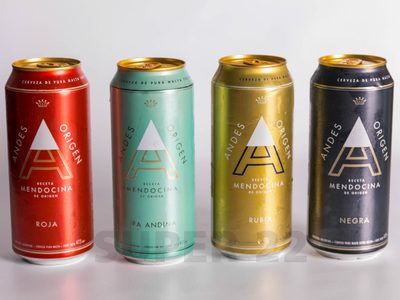 Con 1 lata de cerveza y broches de madera viejos, creá la maceta más rústica y linda para tu cactus