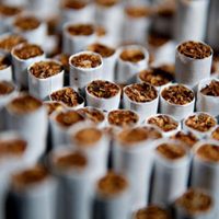 Día Mundial sin Tabaco: es posible dejar de fumar