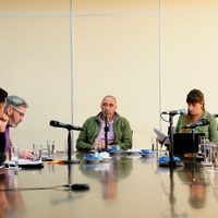 Solicitan informes sobre el avance de la gripe aviar en Neuquén