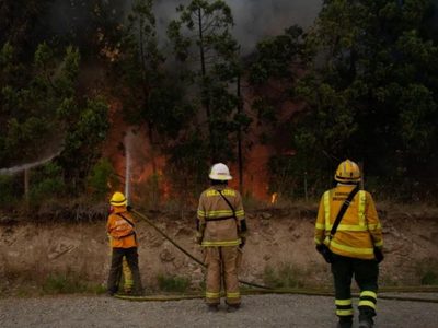 Río Negro en alerta: Bariloche y El Bolsón bajo alto riesgo de incendios forestales durante el verano