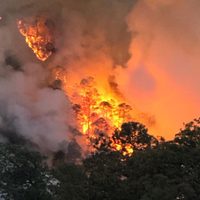 Oaxaca pide a Segob declarar emergencia ante 14 incendios forestales activos