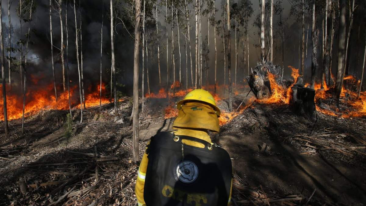 Incendios forestales en Chile. Fuente: (Twitter)
