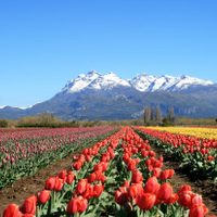 Imperdible: Trevelin, en Chubut, fue elegido como uno de los tres pueblos mágicos de la Argentina