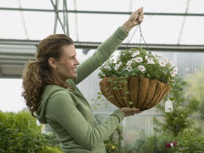 5 consejos para regar mejor las plantas colgantes