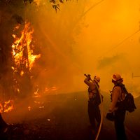 El informe sobre cambio climático que pasó de noche en la 4T