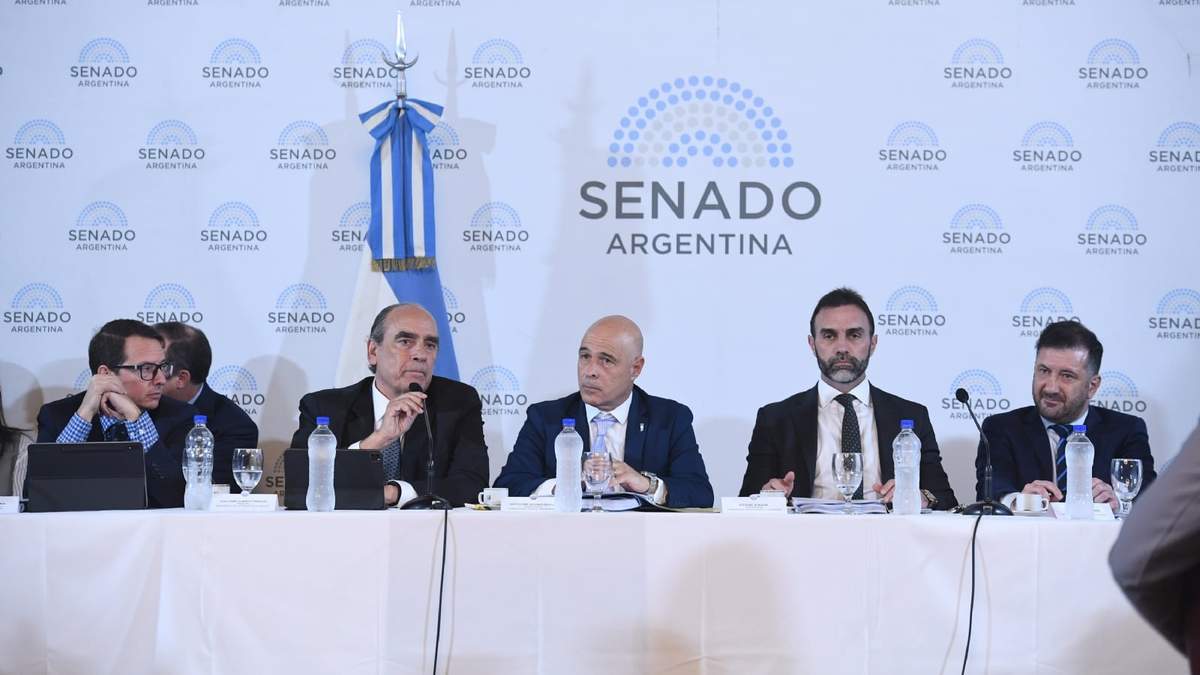 Tras presiones y negociaciones, la Ley Bases sigue el debate en el Senado. Fuente: (X)