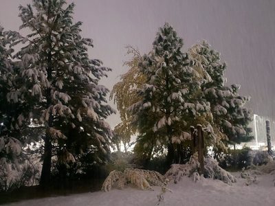 Emiten un alerta amarillo por viento y lluvias en la cordillera sur de Neuquén