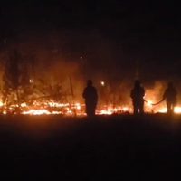 Llancafilo presentó un proyecto para declarar la emergencia por incendios en Neuquén, Río Negro y Chubut