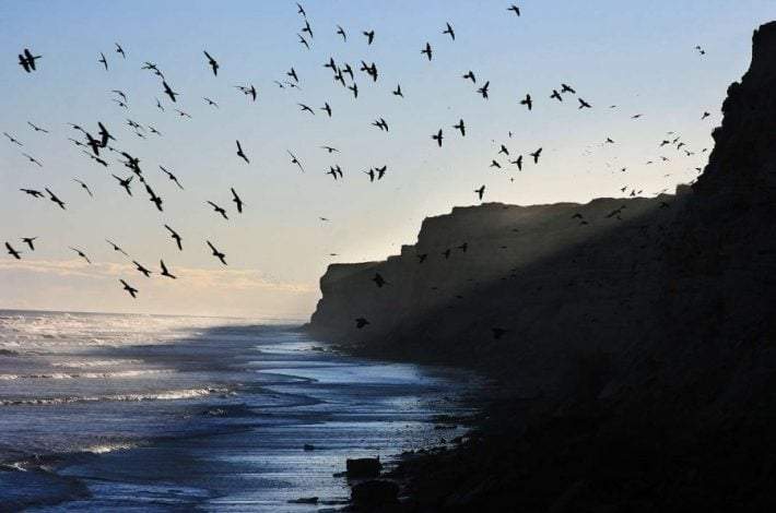 Costa de Viedma Fuente: (Twitter)