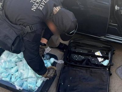 EU y México reiteran compromiso para combatir tráfico de fentanilo y ordenar el flujo migratorio