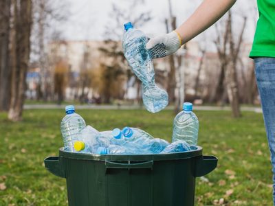 No tires las botellas plásticas y construí este fácil dispositivo para bajar los limones de tu limonero