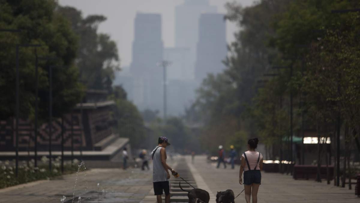 Contaminación del aire en Chapultepec.