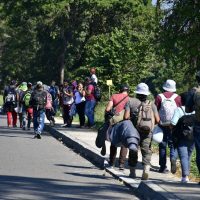 INM y PF intentan, sin éxito, frenar el avance de unos 500 migrantes en Chiapas