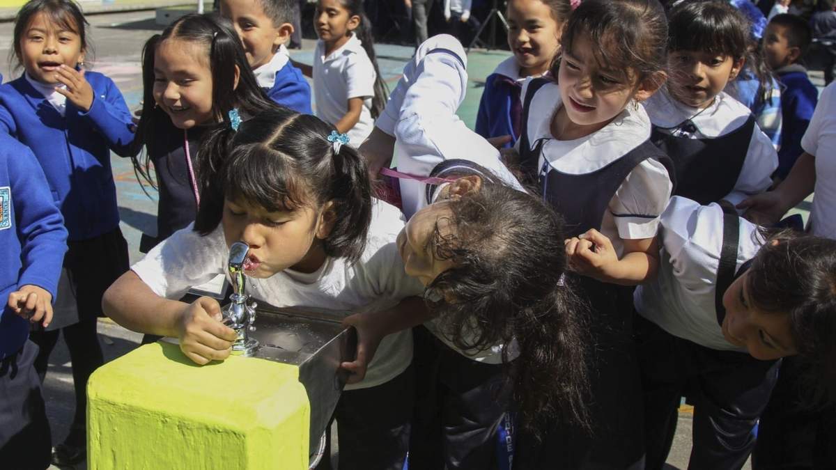 Bebederos escolares. Riesgo