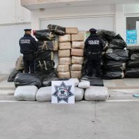 Decomisan media tonelada de mariguana escondida entre botellas de pet