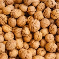 Nueces en Patagonia, la producción que viene creciendo