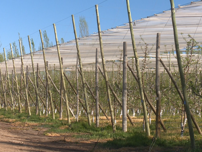 Productores de San Patricio del Chañar conocieron líneas de financiamiento que ofrece la Provincia
