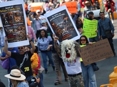“Fue despojo, no rescate”: Marchan en defensa del Refugio Franciscano en CDMX (Video)