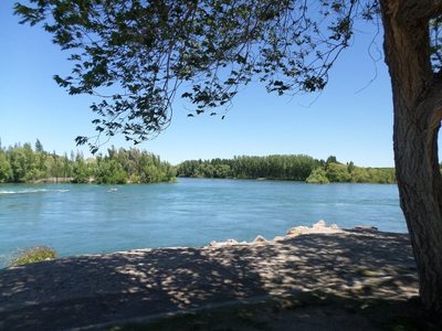 Gran preocupación: Marilyn salió a caminar al río con su perro y nunca regresó