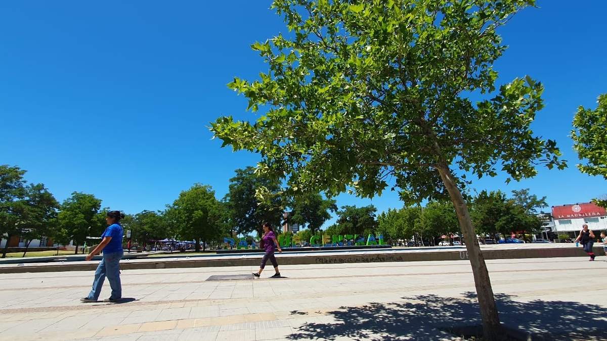 La ciudad de Neuquén registrará la temperatura más alta. Fuente: (Javier Manzano)