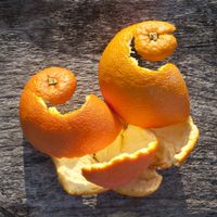 No tires las cáscaras de naranja: prepará esta mascarilla nutritiva y económica para tu rostro